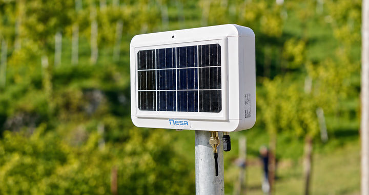 NESA solar-powered Smart Pole sensor installed in a hillside vineyard